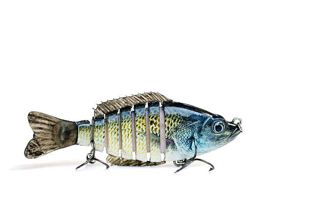 Swimbait